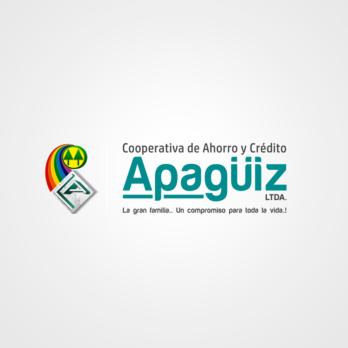 Cooperativa Apagüiz Ltda.